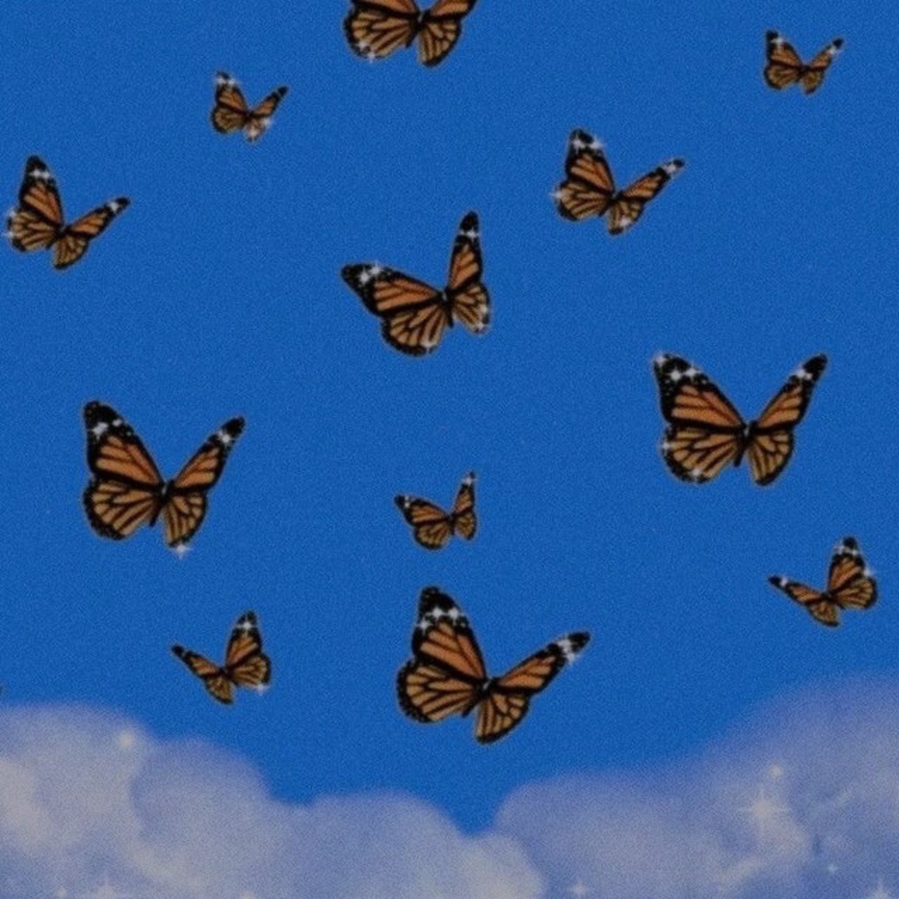 Meet your Posher, Hailie